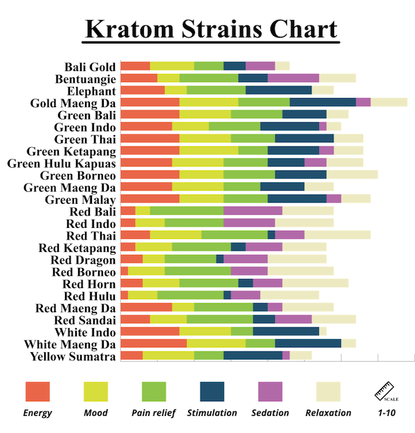 Chart of kratom strains and their effects. Effects described: energy, mood, pain relief, stimulation, sedation, relaxation. Scale is 1 to 10. Bali Gold. Bentuangie. Elephant. Gold Maeng Da. Green Bali. Green Indo. Green Thai. Green Ketapang. Green Hulu Kapuas. Green Borneo. Green Maeng Da. Green Malay. Red Bali. Red Indo. Red Thai. Red Ketapang. Red Dragon. Red Borneo. Red Horn. Red Hulu. Red Maeng Da. Red Sandai. White Indo. White Maeng Da. Yellow Sumatra. 